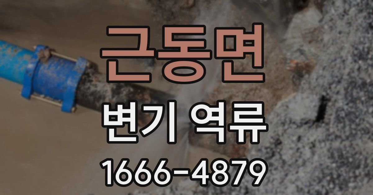 근동면 변기 역류