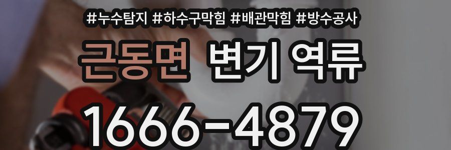 근동면 변기 역류