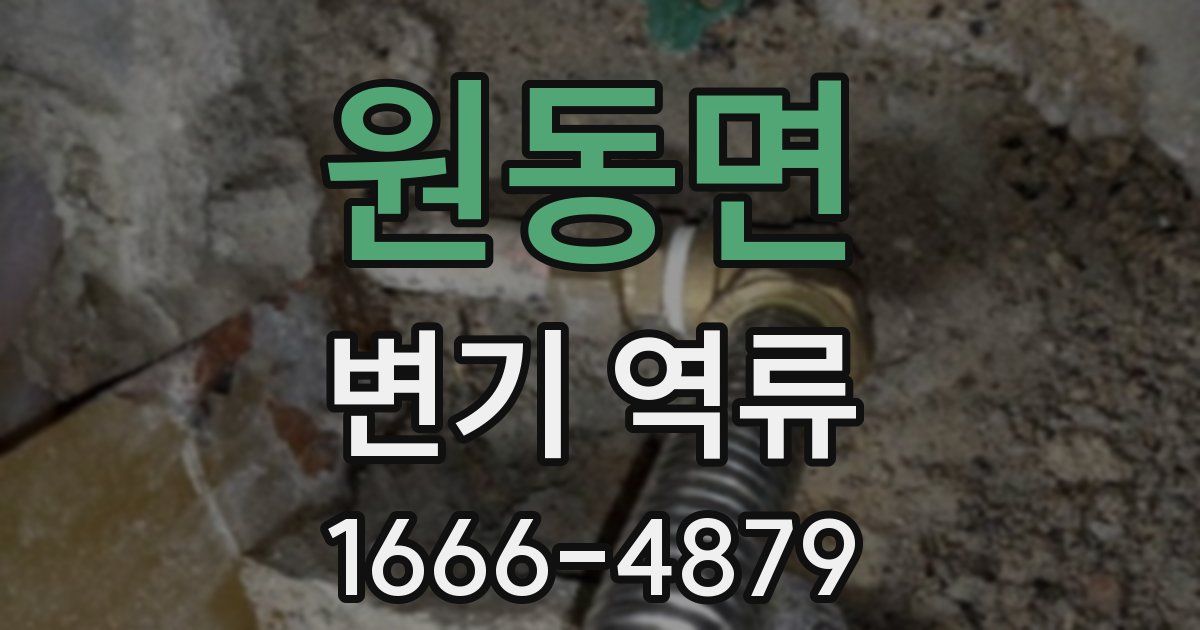 원동면 변기 역류