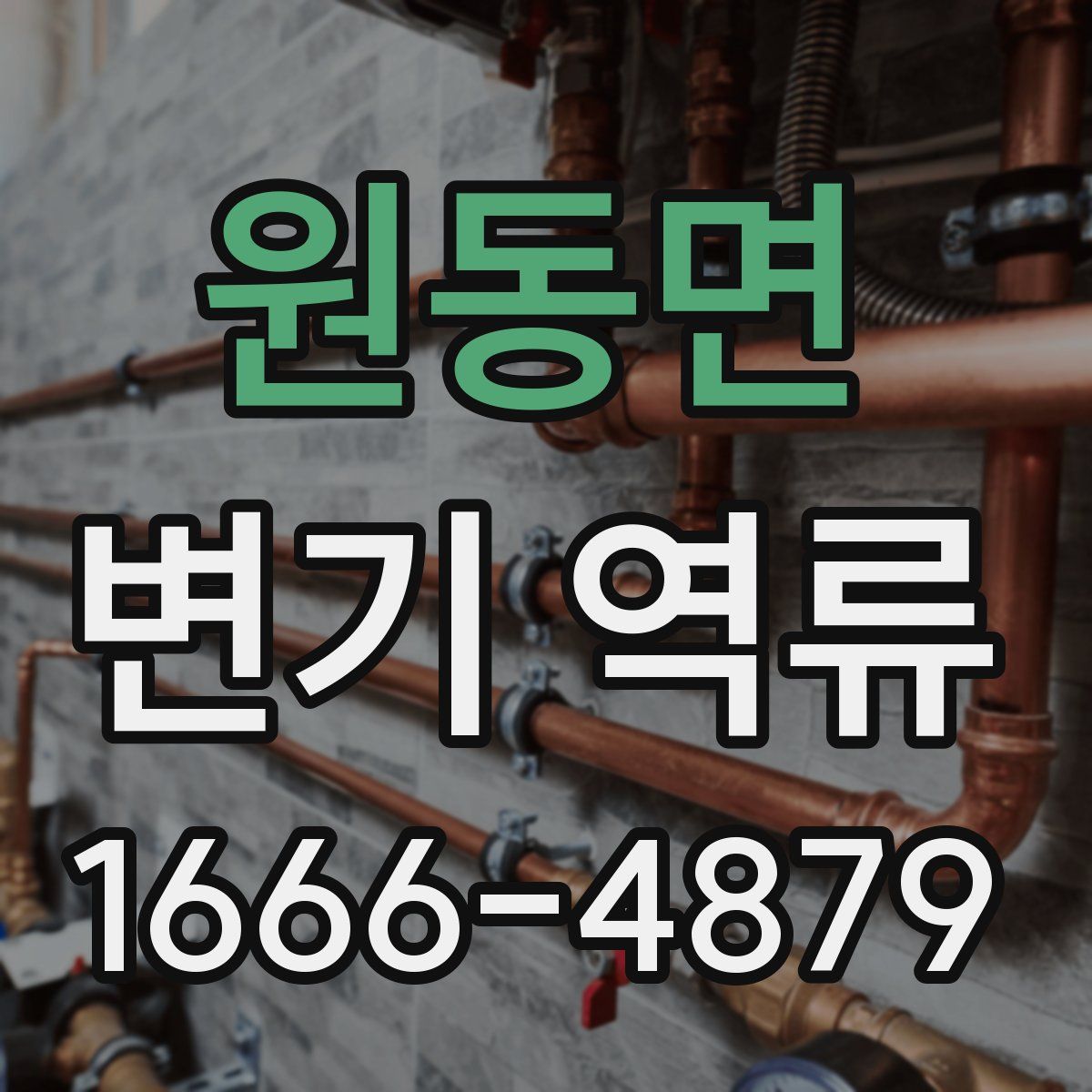 원동면 변기 역류