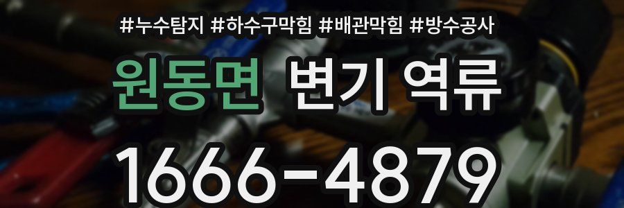 원동면 변기 역류