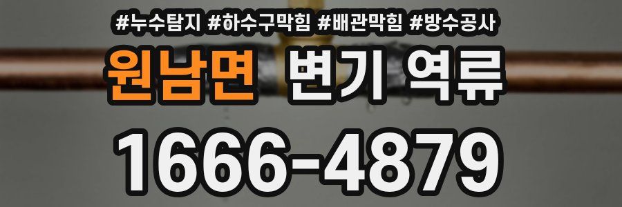 원남면 변기 역류