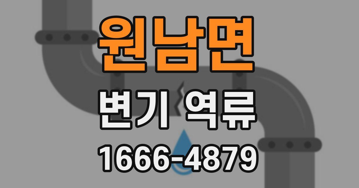 원남면 변기 역류