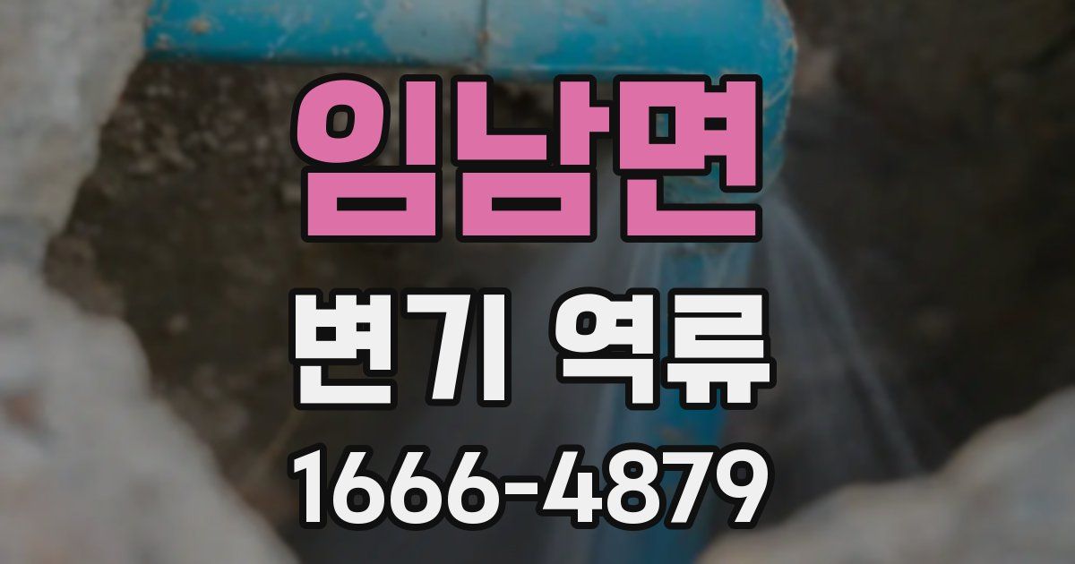 임남면 변기 역류