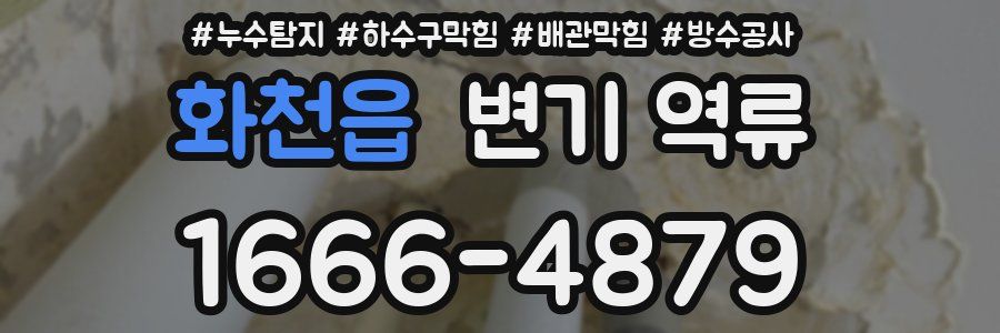 화천읍 변기 역류