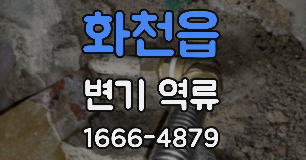 화천읍 변기 역류