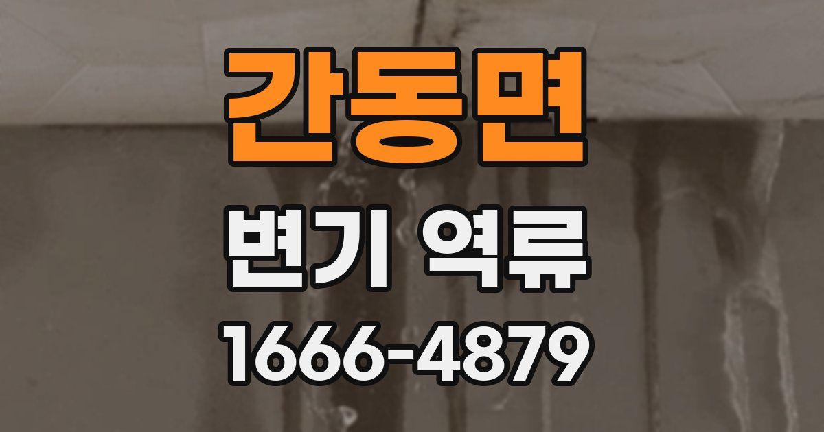 간동면 변기 역류