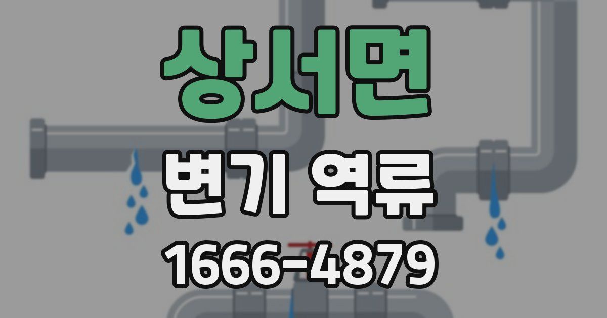 상서면 변기 역류