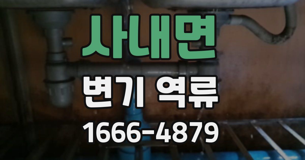 사내면 변기 역류