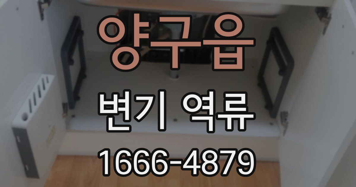 양구읍 변기 역류