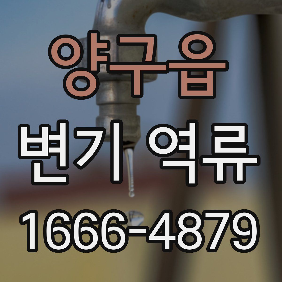 양구읍 변기 역류
