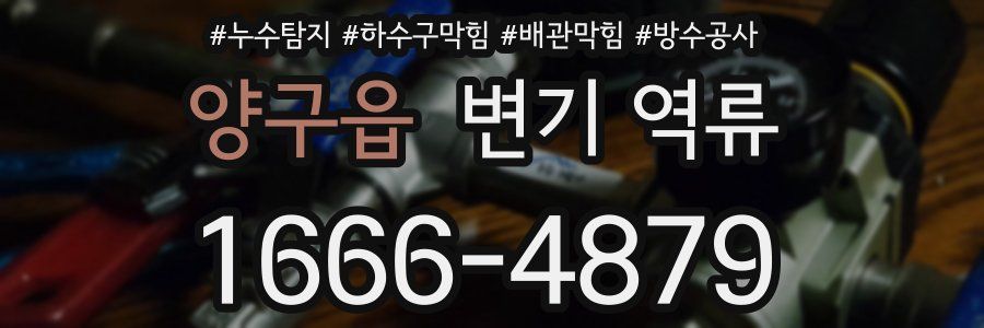 양구읍 변기 역류