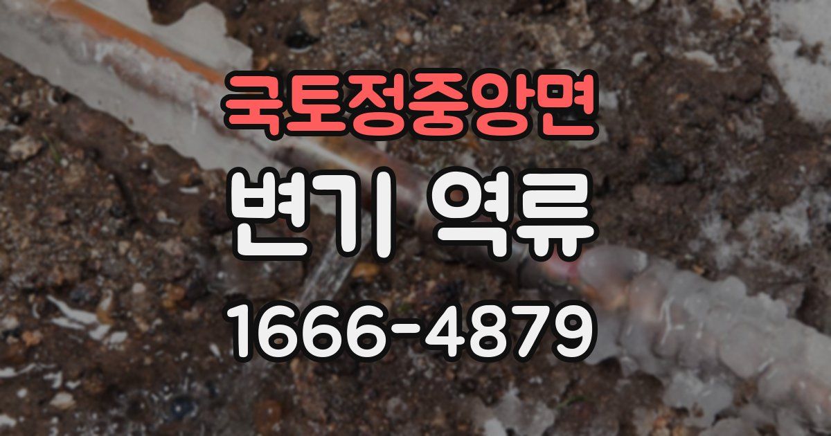 국토정중앙면 변기 역류
