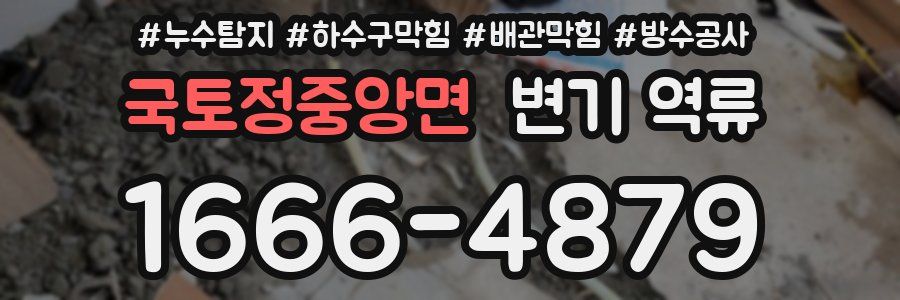 국토정중앙면 변기 역류