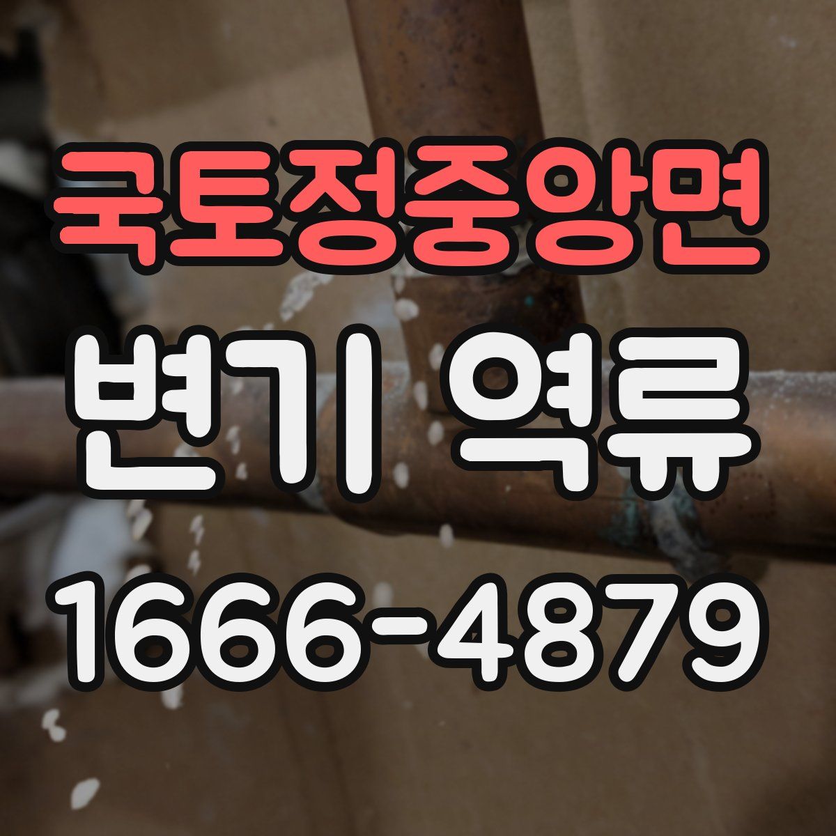 국토정중앙면 변기 역류