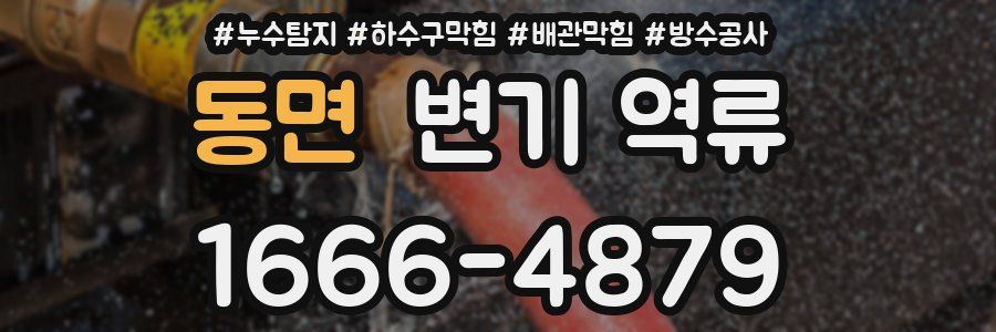 동면 변기 역류