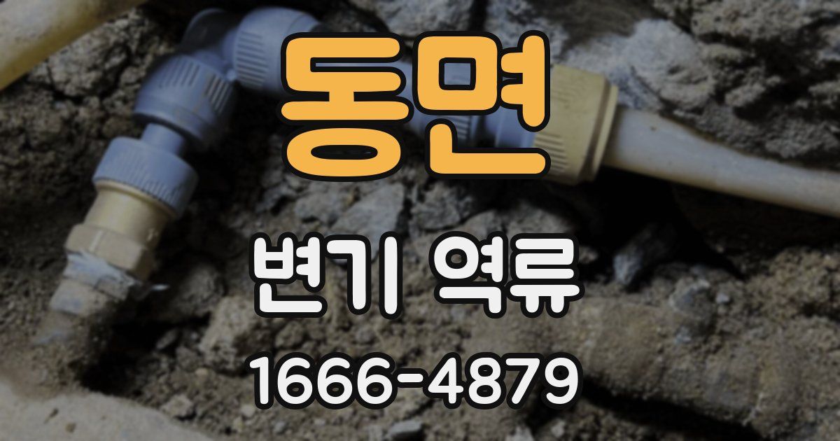 동면 변기 역류