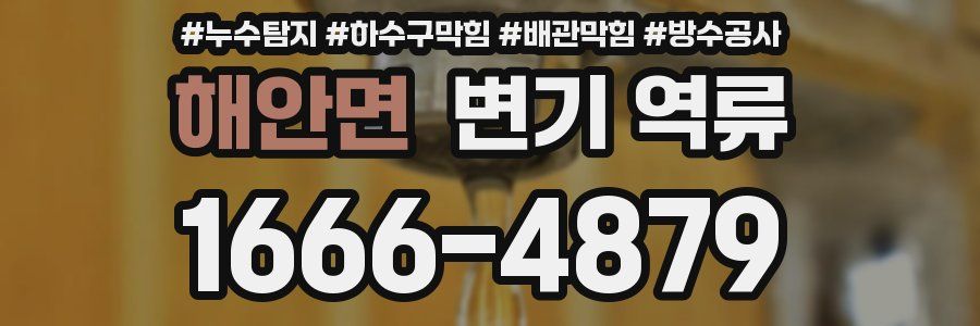 해안면 변기 역류