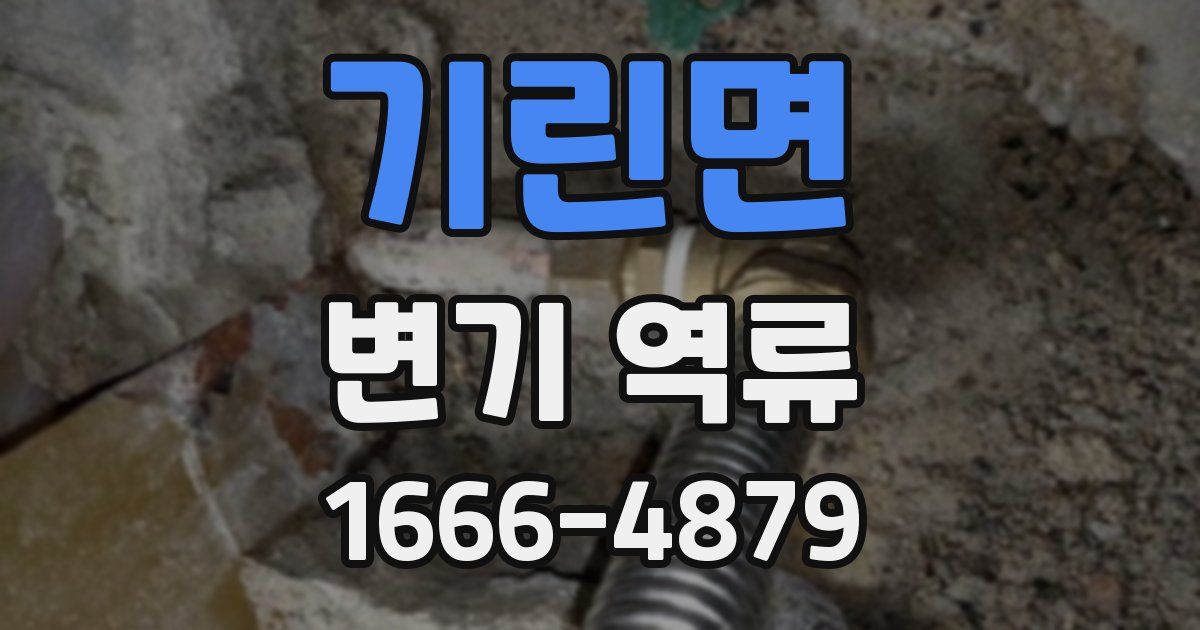 기린면 변기 역류