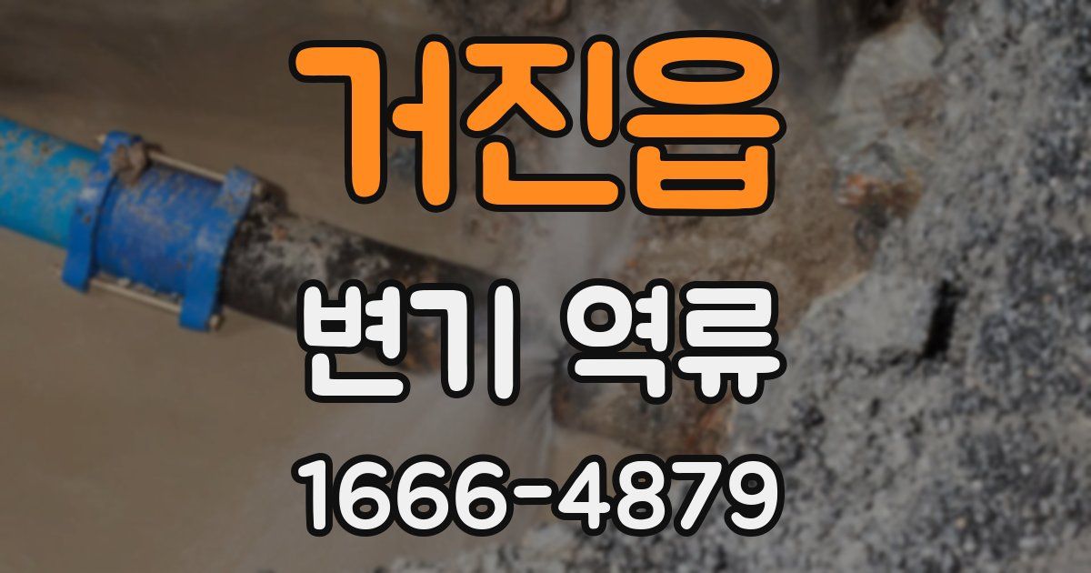 거진읍 변기 역류