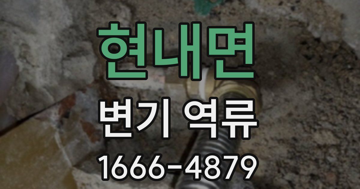 현내면 변기 역류