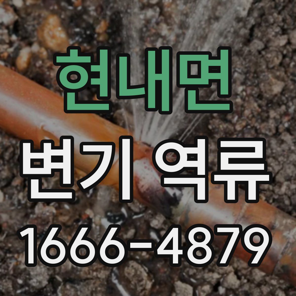 현내면 변기 역류