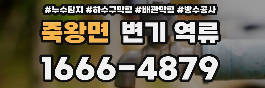 죽왕면 변기 역류