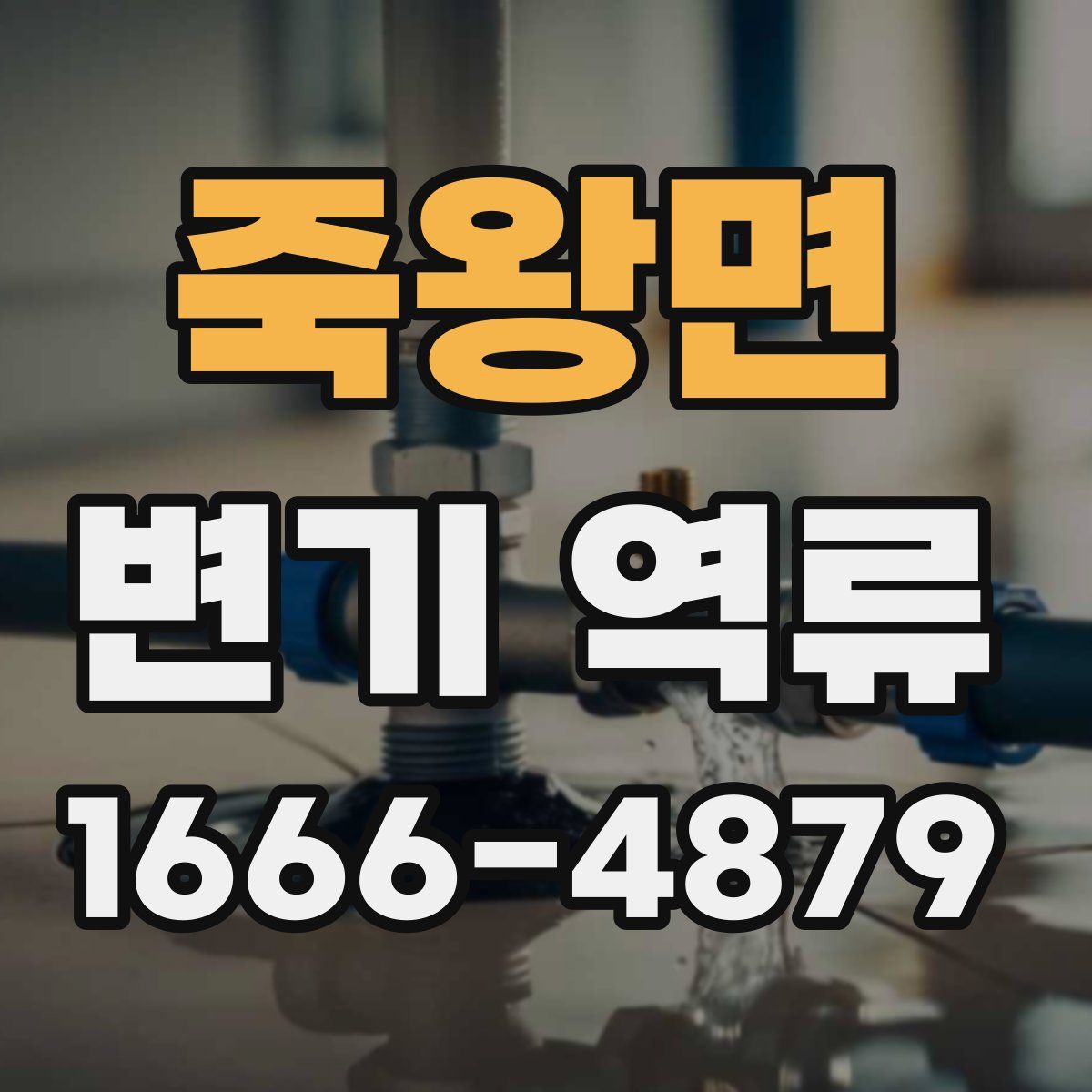 죽왕면 변기 역류