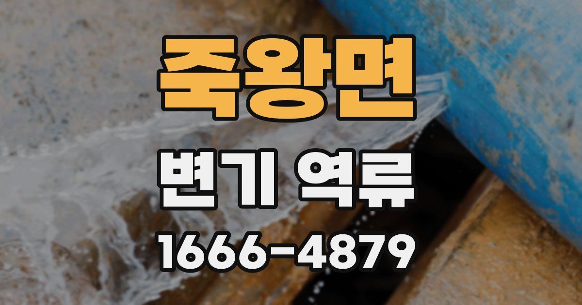 죽왕면 변기 역류