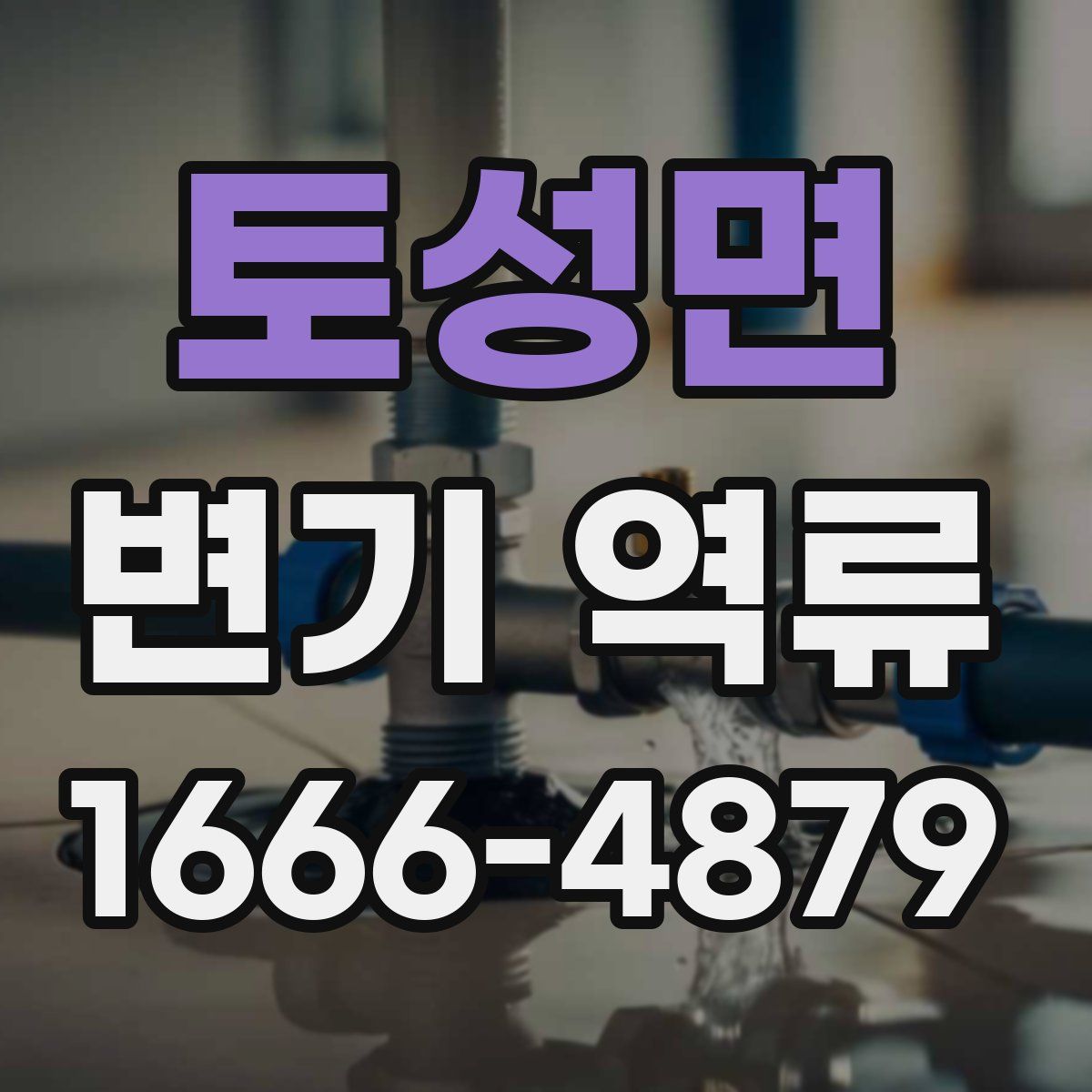토성면 변기 역류