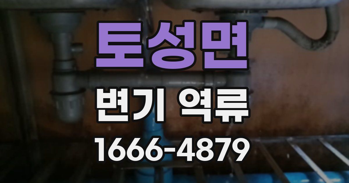토성면 변기 역류