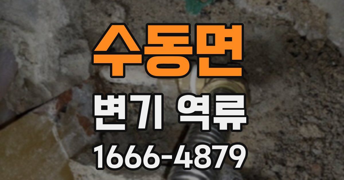 수동면 변기 역류