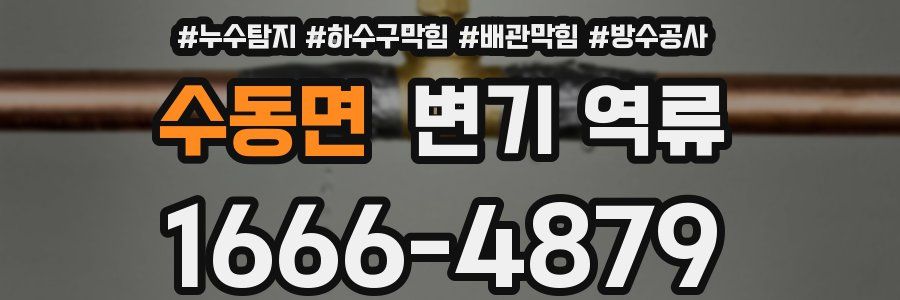 수동면 변기 역류