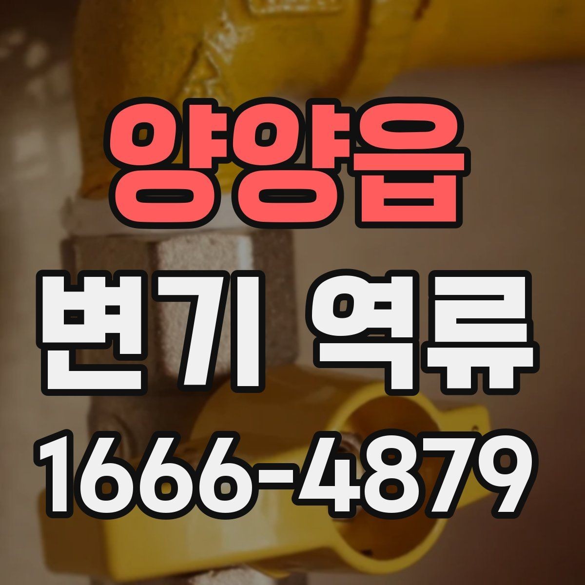 양양읍 변기 역류 발생 전 나타나는 흔한 징후