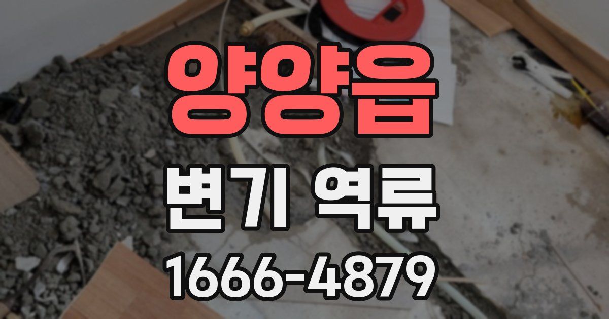 양양읍 변기 역류