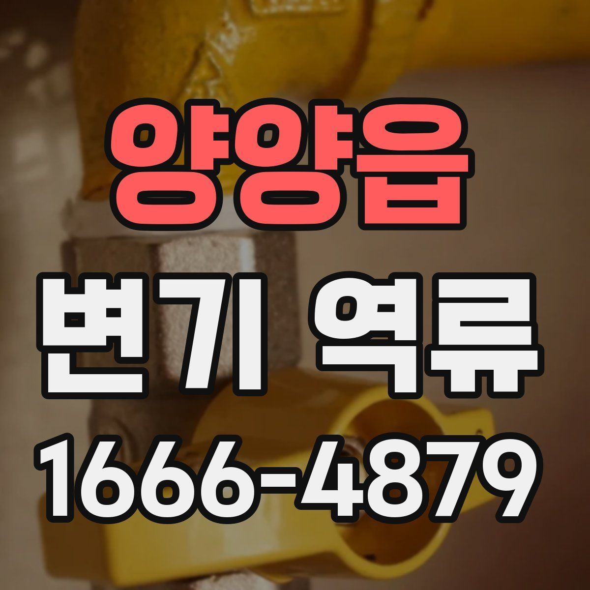 양양읍 변기 역류