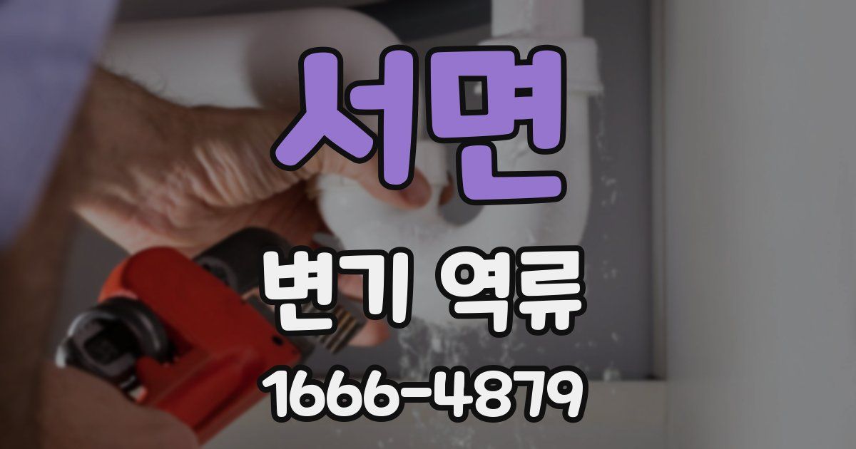 서면 변기 역류