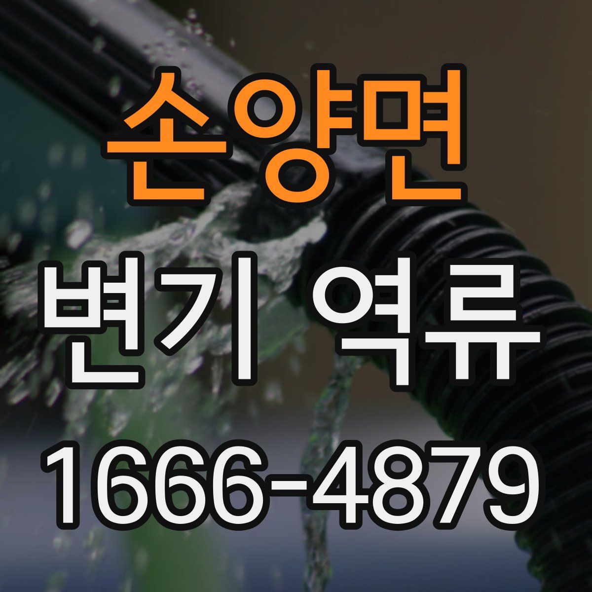 손양면 변기 역류