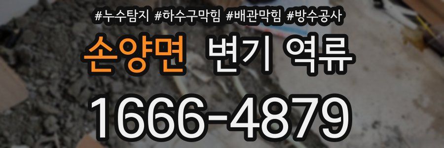 손양면 변기 역류