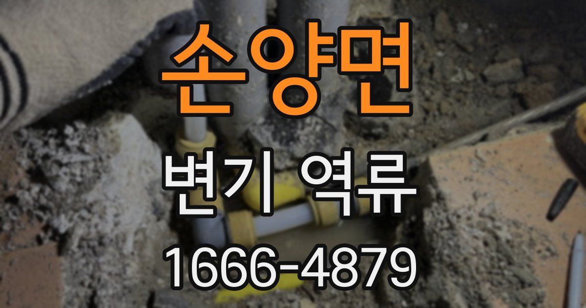 손양면 변기 역류