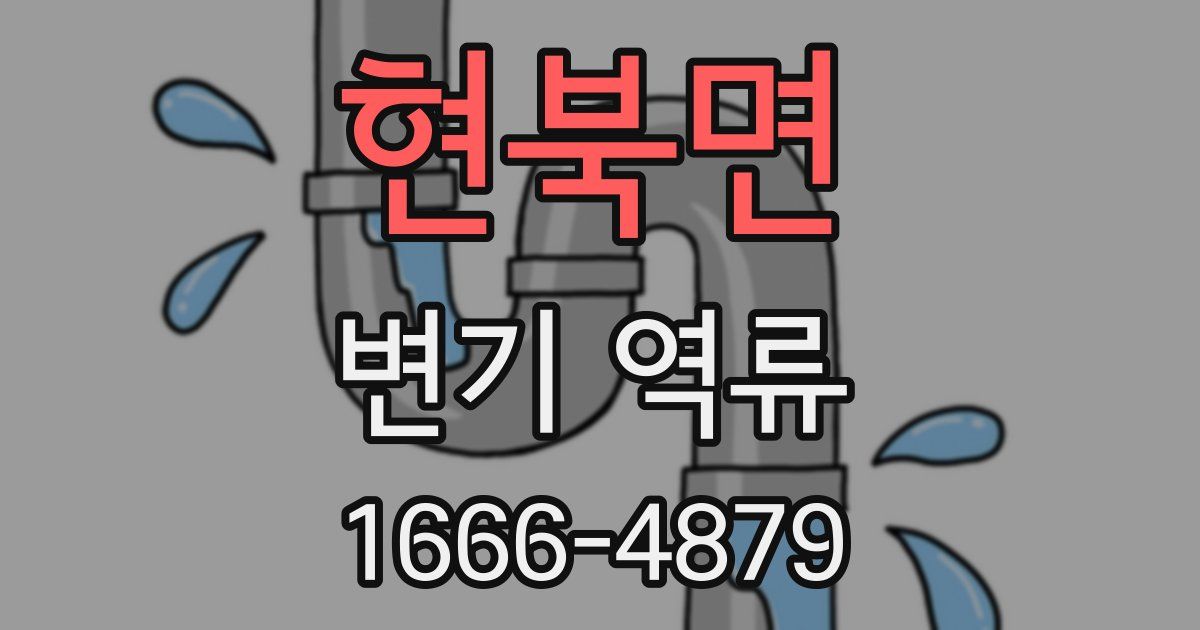 현북면 변기 역류