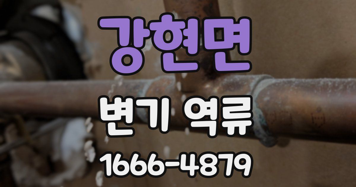 강현면 변기 역류