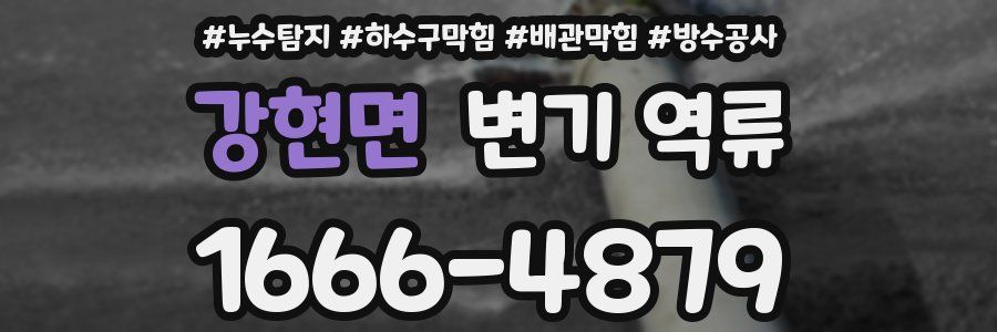 강현면 변기 역류