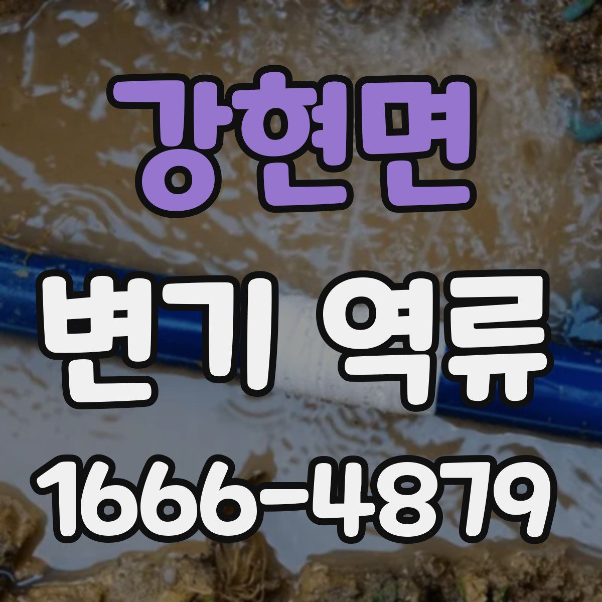 강현면 변기 역류