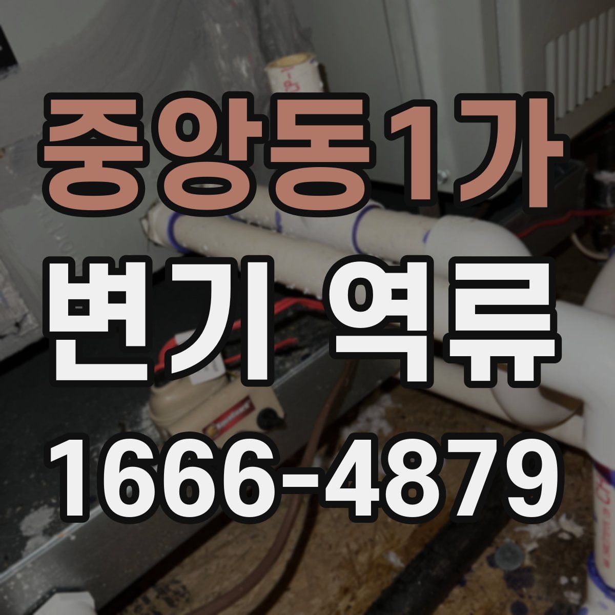 중앙동1가 변기 역류