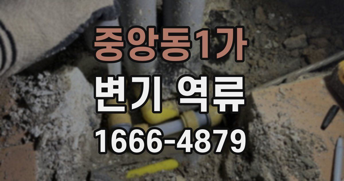 중앙동1가 변기 역류