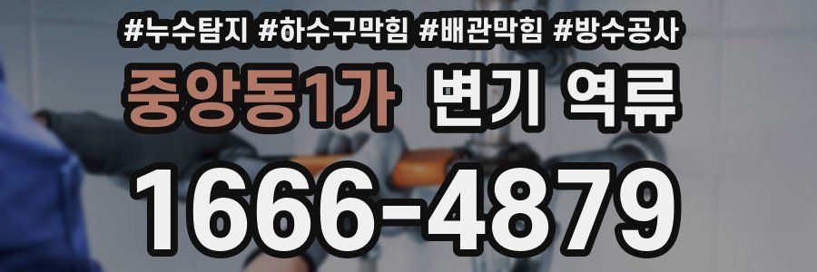 중앙동1가 변기 역류