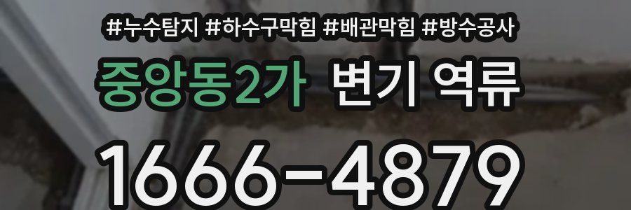 중앙동2가 변기 역류