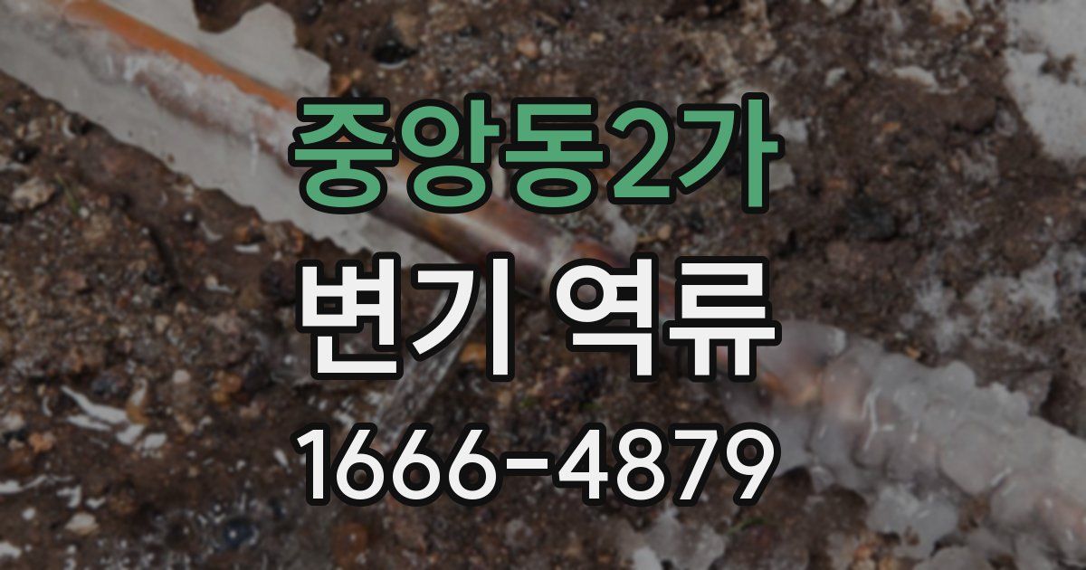 중앙동2가 변기 역류