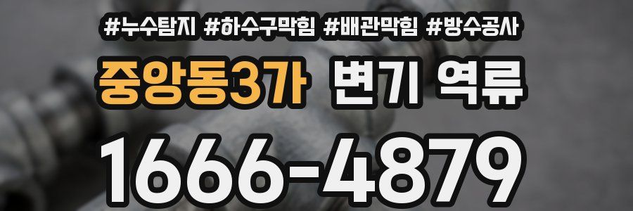 중앙동3가 변기 역류